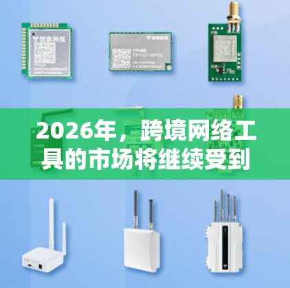 2026年，跨境网络工具的市场将继续受到云计算、边缘计算、人工智能、区块链等技术的深刻影响。以下是一些可能在2026年占据主导地位的跨境网络工具的预测分析