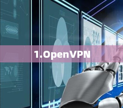 1.OpenVPN